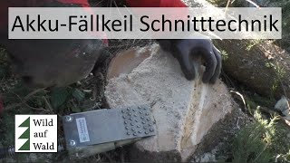 🌲Fichten Schneedruck GEBROCHEN aufarbeiten mit Forstreich TR 24  Husqvarna 550 xpg wildaufwald [upl. by Pantin]