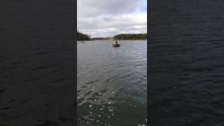 hydrofoil inflatable boat [upl. by Hayouqes]