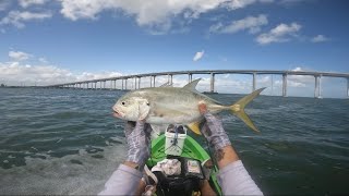 Key Largo Backcountry Fishing Mullet Run 2024 PART ONE [upl. by Natsreik]