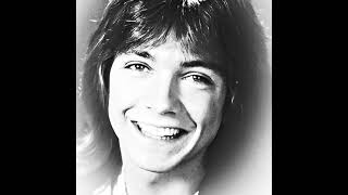 DAVID CASSIDY TRIBUTEDAYDREAMER LIVE [upl. by Geno]