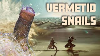 How to get rid of Vermetid Snails [upl. by Woodrow856]