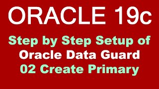 Oracle 19c DataGuard Step by Step Setup 02 Create Primary  OLD Video NEW Version Available [upl. by Nanji]