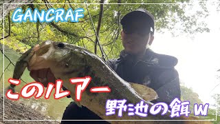 【短時間釣行】やっぱり このルアー は 野池 で餌だったｗ【ラチェット144】【おかっぱり】【野池】【GANCRAFT】【ビッグベイト】 [upl. by Lutim993]