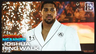 Anthony Joshua Ringwalks Are Unmatched 🔥 [upl. by Alhsa431]