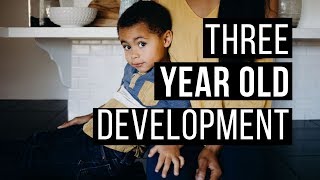 3 Year Old Development  Social Emotional Development [upl. by Kcyred]