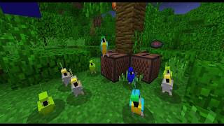 LOROS BAILANDO EN MINECRAFT [upl. by Hermione412]