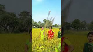 New song cg cgsong cgshort cgshorts cgstatus cgviral instagram chhattisgarhi [upl. by Hamlin]