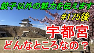 【行先探訪175後】よくある行先「宇都宮」ってどんなところなのかレポートします！（観光編） [upl. by Acissaj]