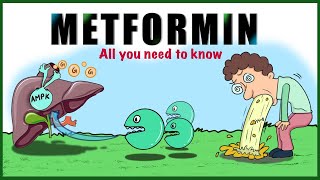 Metformin Uses Mechanism of action Side effects Contraindications [upl. by Ahsart467]