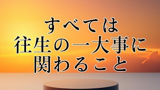 桜嵐坊氏の改ざん事件隠し【すべては後生の一大事に関わること】 [upl. by Carolann]