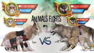 WildCraft Animals fights 5 🐱 lynx vs wolf 🐺 [upl. by Wyly748]