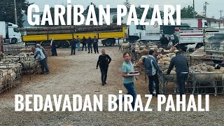 TORBALI HAYVAN PAZARINDA GÜNCEL BİLGİLER [upl. by Adel]