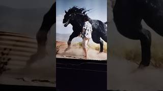 Horse Symbiote  SPOILER ⚠️ venom3 [upl. by Lauzon185]