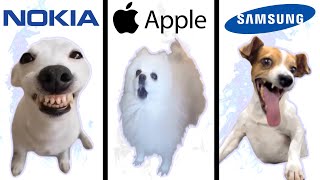 Dog Memes but famous phone ringtones [upl. by Coletta742]