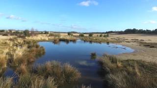 National Park Loonse amp Drunense Duinen by 11 Shots Media [upl. by Belcher528]