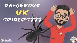 Are UK Spiders Dangerous [upl. by Elston621]