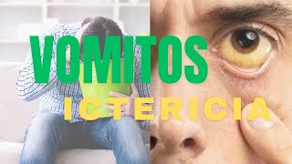 FISIOPATOLOGIA DE LAS NAUSEAS VOMITOS Y LA ICTERICIA FISIOPATOLOGIA PARA ESTUDIANTES [upl. by Dietrich279]