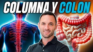 ¿Sufres de dolor lumbar El problema está en tu INTESTINO ¡No en tu columna 😨 [upl. by Oirramaj]