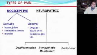 Categories of Pain  Neuropathic vs Nociceptive [upl. by Yob938]