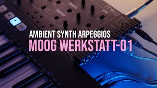 Moog Werkstatt01  Ambient Synthesizer Jam Arpeggio Madness [upl. by Matthaus]