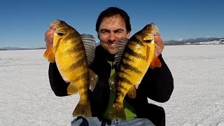 How to Ice Fishing Cascade Lake Jumbo Perch [upl. by Jermain]