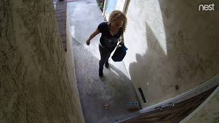 Package Thief caught on Nest camera at San Jose California [upl. by Rim]