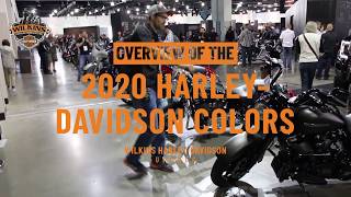 Quick Overview of the 2020 HarleyDavidson Colors [upl. by Drucy]