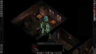 Baldurs Gate Enhanced Edition  Tales of the Sword Coast  Durlags Tower  Part 25 [upl. by Eisned153]