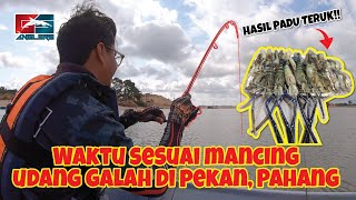 Waktu Sesuai Memancing Udang Galah Di Pekan Pahang [upl. by Yarak]