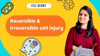 Cell Injury and Necrosis  Part 1 reversible amp irreversible cell injury [upl. by Oicaro]