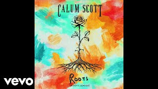 Calum Scott  Roots Acoustic Version  Audio [upl. by Ruthie]