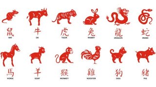 I 12 ANIMALI DELLO ZODIACO CINESE  China Time [upl. by Diraf]