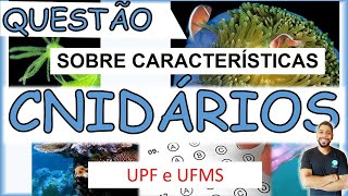 CNIDÁRIOS  UFMS e UPF  QUESTÃO SOBRE Características  Prof Michael Bryan [upl. by Nosreme684]