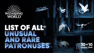 All Patronuses on Wizarding World Pottermore  Unusual amp Rare List  Hogwarts Legacy [upl. by Hamirak]