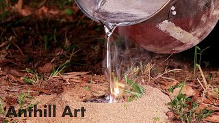 Casting a Fungus Farming Ant Colony with Molten Aluminum Cast 107 [upl. by Meador]