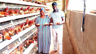 KENYAN RETIRED TEACHER REAPING BIG FROM POULTRY FARMING IN NYAMIRA COUNTY poultryfarming farmup [upl. by Nohj]