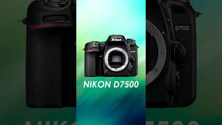 Nikon D7500 Review 📸 ✅️ [upl. by Parrott]