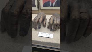 Walt Disneys Hands [upl. by Sudhir128]