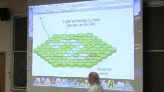 34 Biochemistry Lecture Photosynthesis from Kevin Aherns BB 350 [upl. by Abeu603]