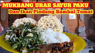 Mukbang Urap Sayur Paku Dan Ikan Pindang Sambal Tomat  Mukbang Indonesia [upl. by Octavie]