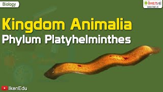 Kingdom Animalia Phylum Platyhelminthes  Biology  iKen  iKenEdu  iKenApp [upl. by Ahmar]