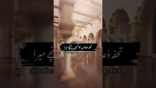 eid ul adha mubarak short video shortfeed shortviral viralvideo trending zilhajjshorts [upl. by Euqimod]