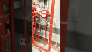 PreAction System foryou yt electrician fire firealarm firework ytshorts viralvideo fyp [upl. by Noryt993]