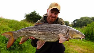 BARBEL FISHING on the RIVER [upl. by Nnayrrehs]