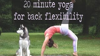 20 Minute Yoga for Back Flexibility [upl. by Arvin]