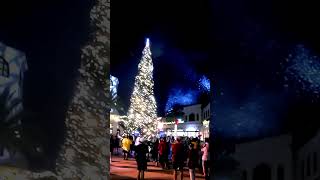 Disney Springs Holiday Tree [upl. by Aenneea]