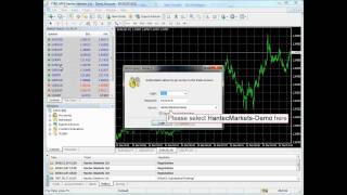 MetaTrader 4 MT4  How To Log In [upl. by Haeel]