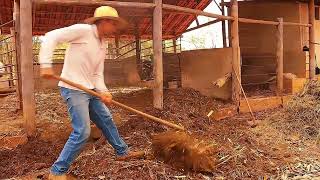 Tutorial de Compostagem Orgânica [upl. by Ahsiened550]