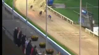 IGB  2018 BoyleSports Irish Greyhound Derby Round 3 Heat 2 01092018 Race 4  Shelbourne Park [upl. by Akenat]