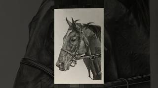 Horse drawing  horse sketch  horse horsedrawing shorts youtubeshorts drawing sketch art [upl. by Celestyna]